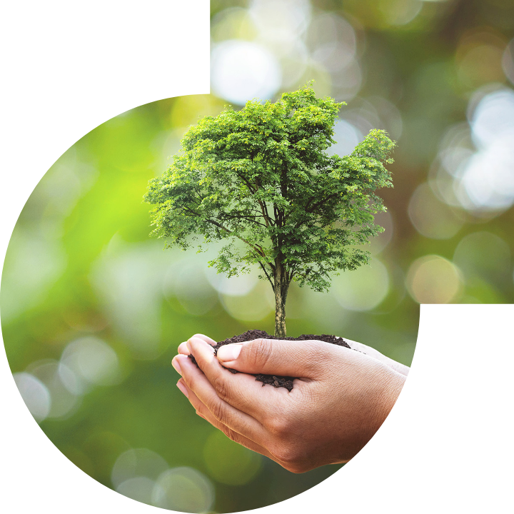 关怀人类、文化、环境与社会